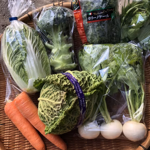 馬場ファームお試し冬野菜セット（５点）