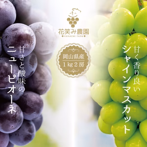 PS-1 花笑み農園　岡山の『ピオーネ＆シャインマスカット』約1kg　9/18～