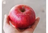 山幸農園のりんごづくし福箱★りんごジャム3種類＆小玉りんご2kg詰め合わせ