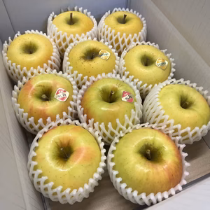 【黄色い品種食べ比べ】ぐんま名月・シナノゴールドセット 約3kg～5kg