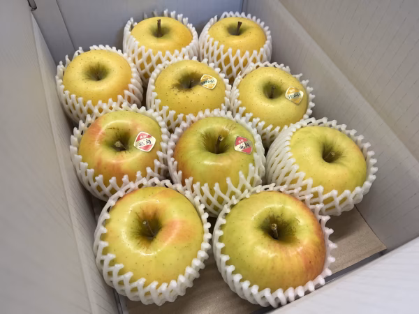 【黄色い品種食べ比べ】ぐんま名月・シナノゴールドセット 約3kg～5kg