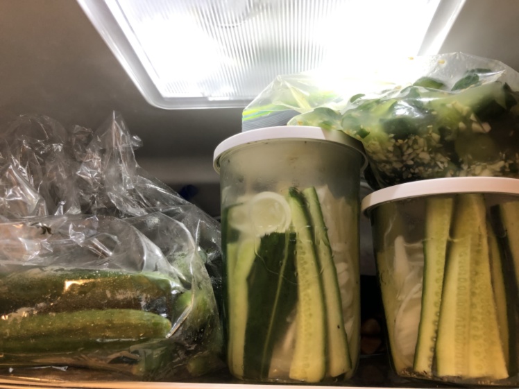 訳あり B品きゅうり でも採れたて 農家漁師から産地直送の通販 ポケットマルシェ