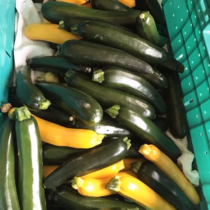 その日の気分で組んだ野菜セット