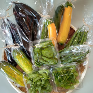 【採れたてそのまま！自然の力で育てた夏野菜セット】7品目８０サイズ