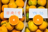 秋みかんの食べ比べセット（YN-26＋日南1号）