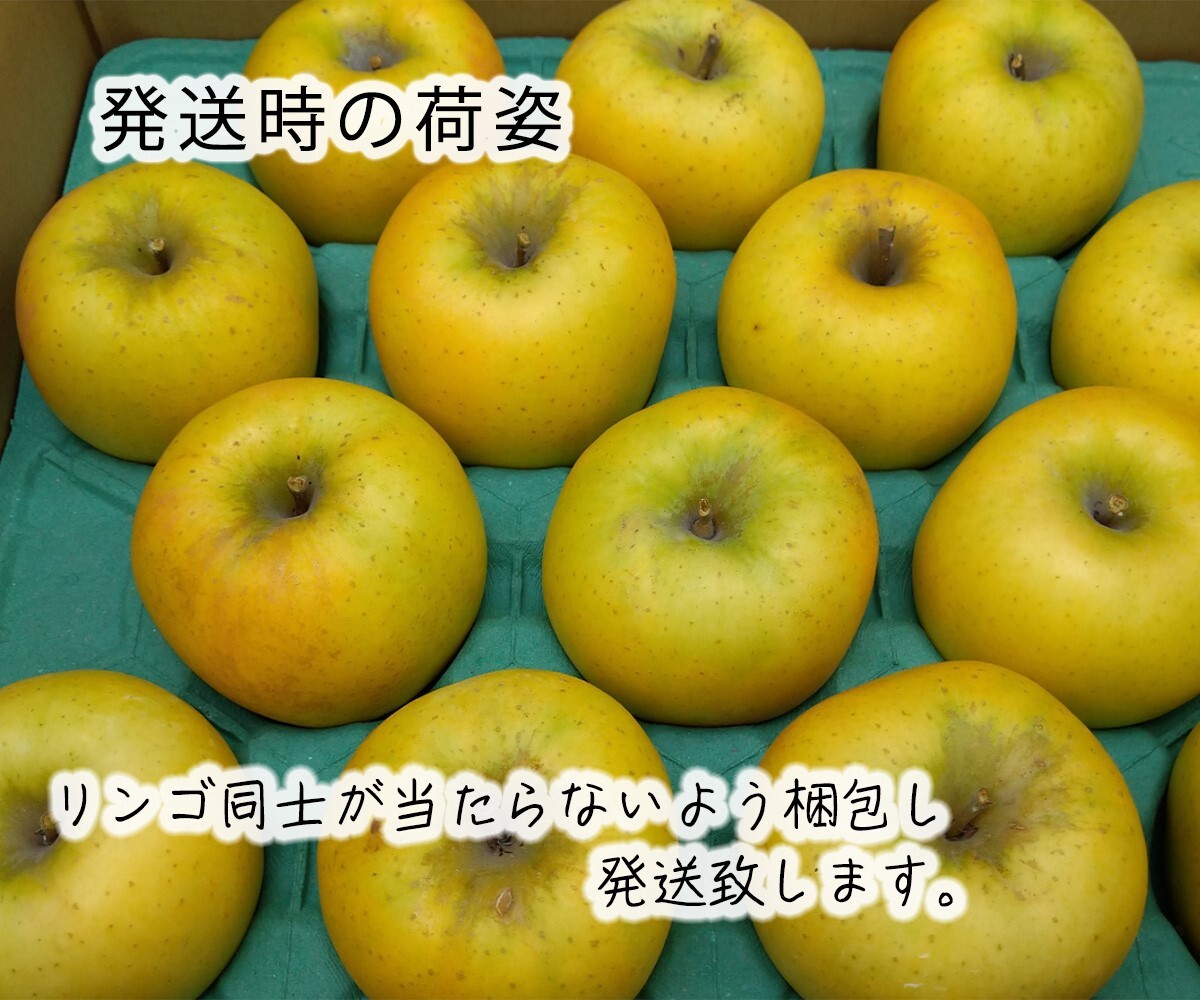 家庭用】シナノゴールド （訳あり品） 11月上旬～ 長野県産りんご ｜果物の商品詳細｜ポケットマルシェ｜産直(産地直送)通販 - 旬の果物 ・野菜・魚介をお取り寄せ