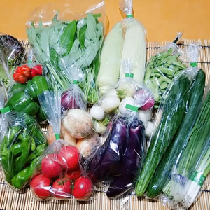 野菜セット【夏至～】魚の町で長年育ててもらった野菜７～９品目