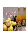 4月予約【黄金＆ドライ付】令和４年絞り＆食べるレモン！(飲むみかん&レモネード)