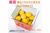 【新発売】厳選 園主こだわり土佐文旦7kg小玉【贈答用】