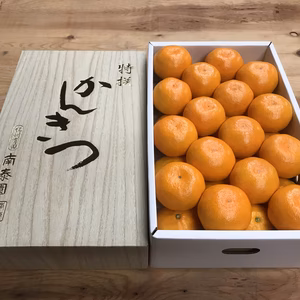 【マルチ栽培・有田みかん】『特秀』L×32玉入／化粧箱【南泰園】
