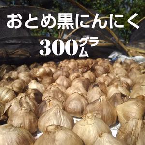 おとめ黒にんにく300㌘ (熊本産 農薬 化学肥料不使用)