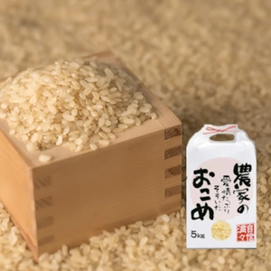 【山形県産】慣行栽培米 はえぬき 岩魚米（玄米5kg 令和４年産）