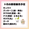 【8周年福袋】 vege箱 野菜セット農薬・化学肥料不使用♪個包装