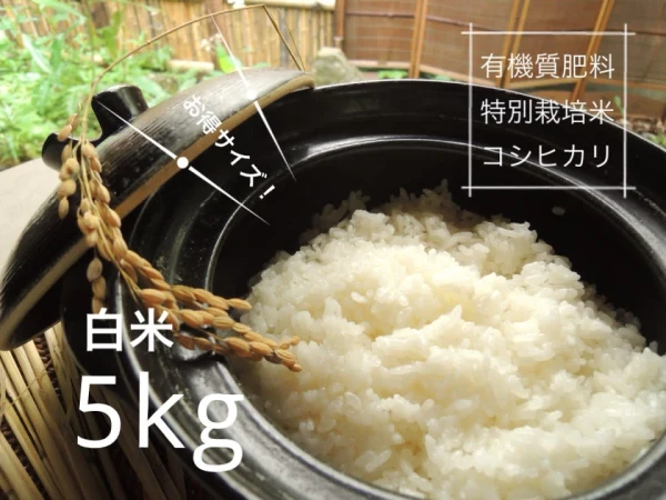 大利根の恵みいっぱい【特別栽培米】コシヒカリ、白米5kg