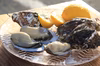 ✨訳あり！増量中✨規格外　Pecco Oyster（生食用殻付）