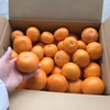 樹上完熟温州みかん（ミックスサイズ）2.8kg/5kg/7.5kg/10kg