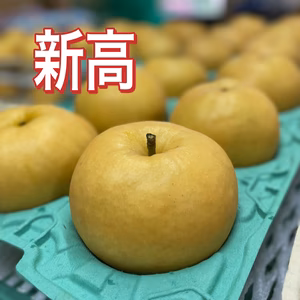 ✨ジャンボ新高梨✨5キロ箱(5〜8玉)⭐️贈答品⭐️