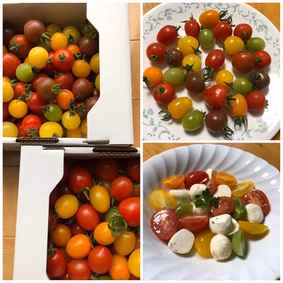 みんなの投稿の画像