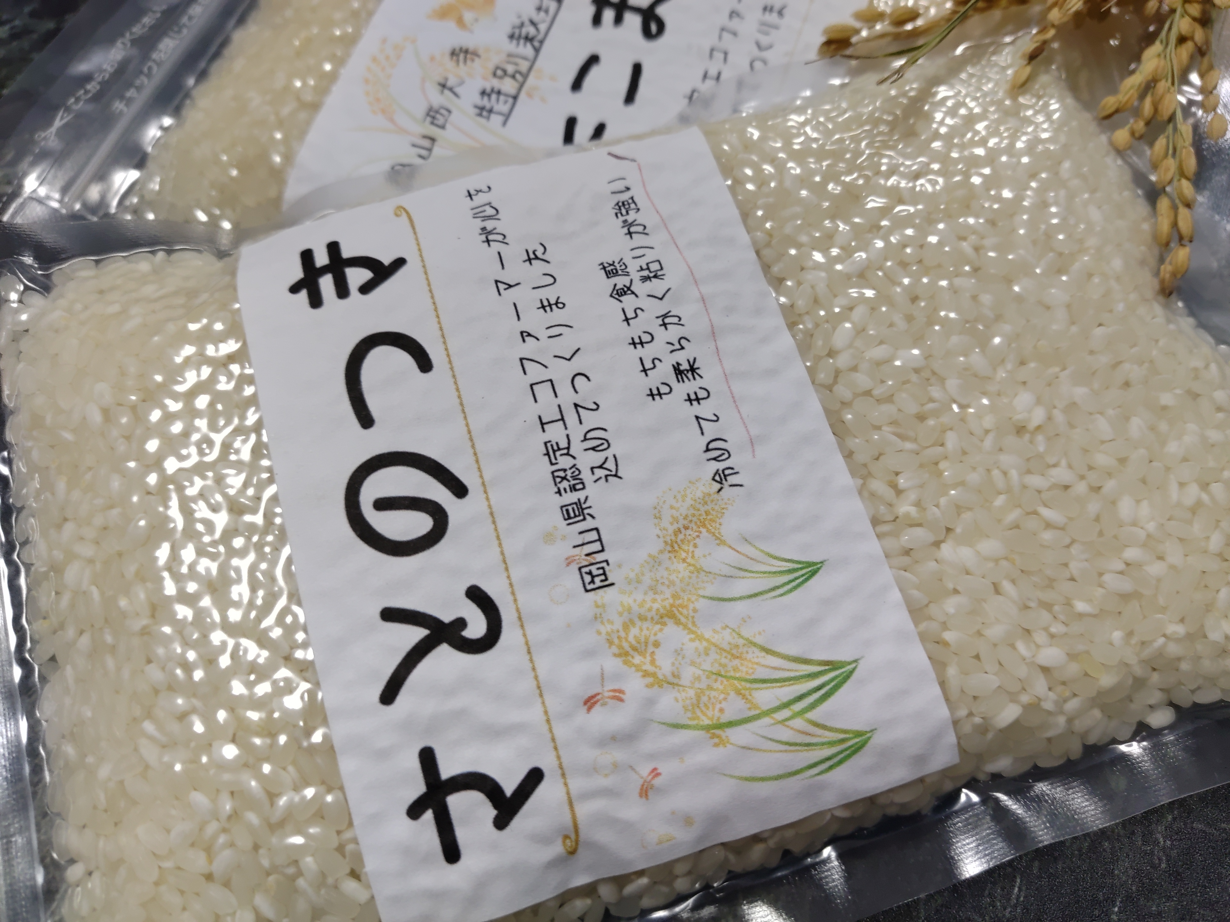 数量限定】〇令和5年産 さとのつき〇精米600ｇ～｜米・穀類の商品詳細