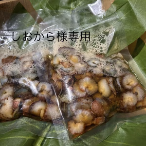 しおから様専用