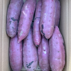 ねっとり甘い！紅はるか　Lサイズ　