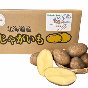 北海道十勝産じゃがいもピルカ　10kg