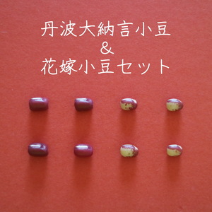 【丹波大納言小豆と花嫁小豆セット　２００gを２袋】味の濃い小豆のセット