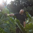 佐藤春樹
