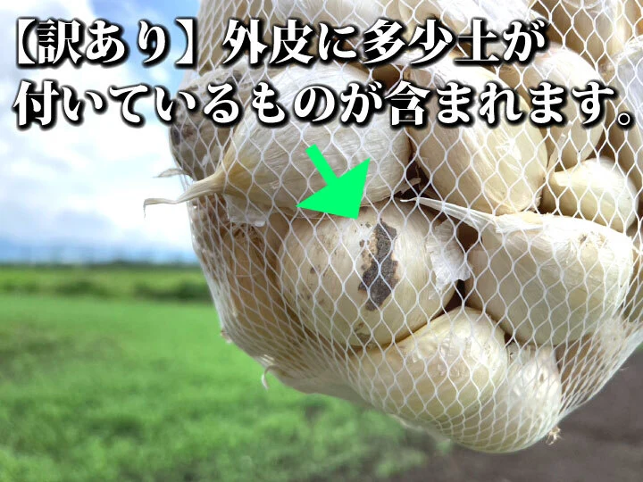 農薬不使用】令和５年産 青森県産にんにく最高級品種ホワイト６片【訳あり品】｜野菜の商品詳細｜ポケットマルシェ｜産直(産地直送)通販  旬の果物・野菜・魚介をお取り寄せ