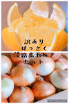 大サービス!!訳ありはっさく・淡路島玉ねぎセット