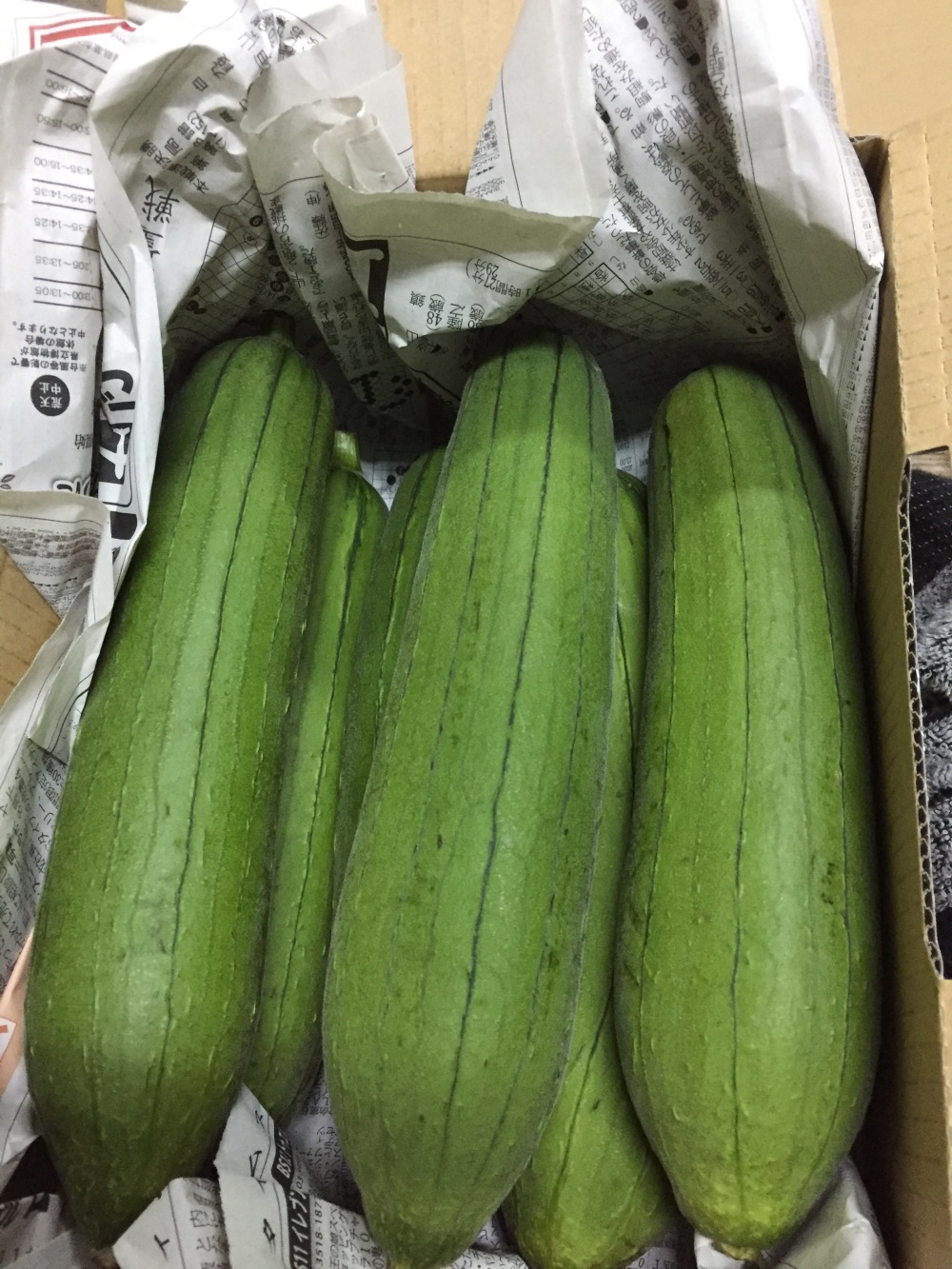 沖縄県産 ハウスへちまEM栽培20kg