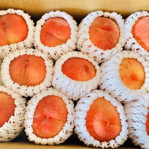 ご家庭用　桃　あかつき　 小玉　2kg