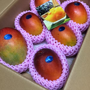 【奄美完熟❗️マンゴー】《ご家庭向き》2kg（4〜6玉入)