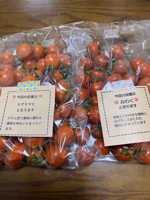 みんなの投稿の画像