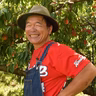 平田真一