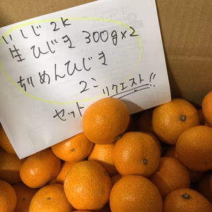 リクエスト今釜揚げ生ひじき段々畑の石地みかんちりめん【北海道沖縄除】