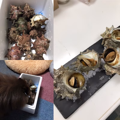 みんなの投稿の画像