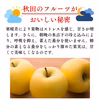 シナノゴールド りんご パリパリ食感 訳あり  3kg 5kg 10kg