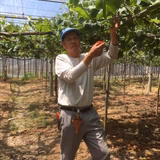 稲山恭次 | 稲清農園（いなせ）