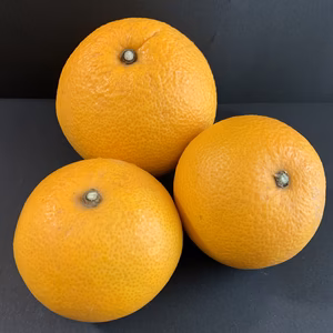 【八朔】4Kg 苦味があと引く、クセになる味❗️