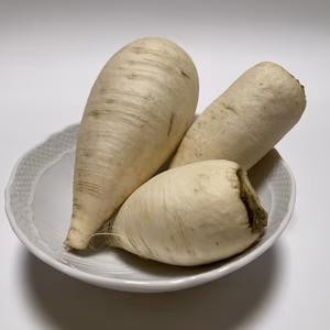 おろしそばに最適! 福井県産 辛味大根(品種名:からいね) 2kg