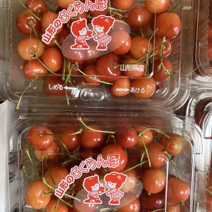 完熟佐藤錦　さくらんぼ　フードパック200g✖️4パック