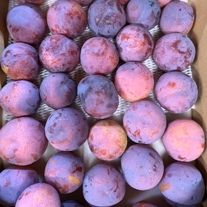 (限定)貴陽(加工用)ジャム、ジュース.用