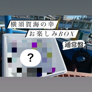【好評につき継続！】1日1組限定！！『通常盤』横須賀海の幸お楽しみBOX！