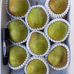 すぐ発送！超低農薬栽培遅もぎラフラン秀品3キロ8-11玉入　農薬散布6回のみ！