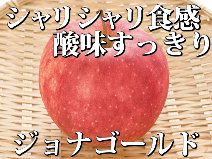 【予約限定特価!!】青森県産りんご「樹上完熟ジョナゴールド」訳あり厳選品!!
