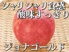 【予約限定特価!!】青森県産りんご「樹上完熟ジョナゴールド」訳あり厳選品!!