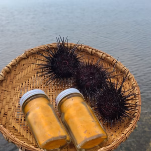 【3本セット】天草湯島の天然塩ウニ