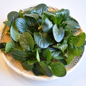 和らぎ農法　小松菜