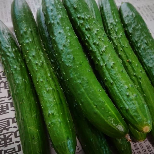 新鮮きゅうりa品 朝採り野菜 農家漁師から産地直送の通販 ポケットマルシェ